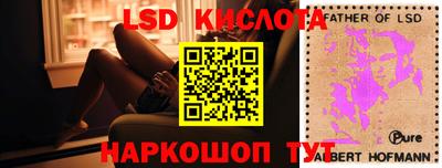 эйфоретик Кимры