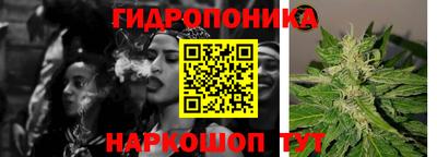 винт Кингисепп