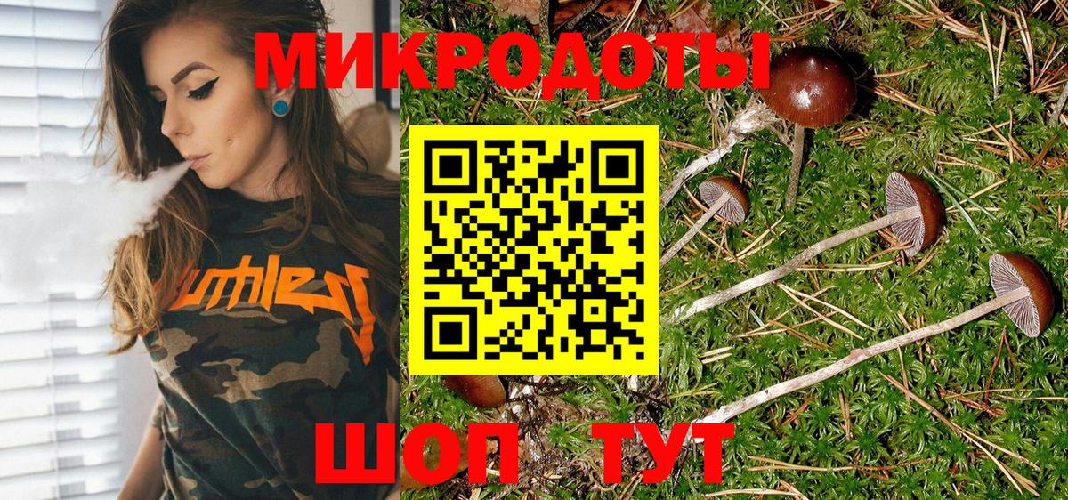 Псилоцибиновые грибы мухоморы Волжский