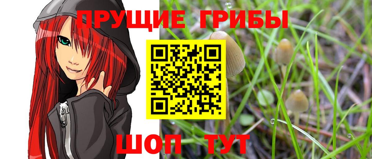 Волжский  Галлюциногенные грибы GOLDEN TEACHER  где купить наркоту  Вход с VPN 